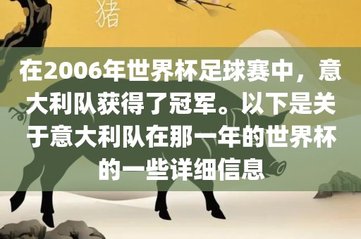 在2006年世界杯足球赛中，意大利队获得了冠军。以下是关于意大利队在那一年的世界杯的一些详细信息