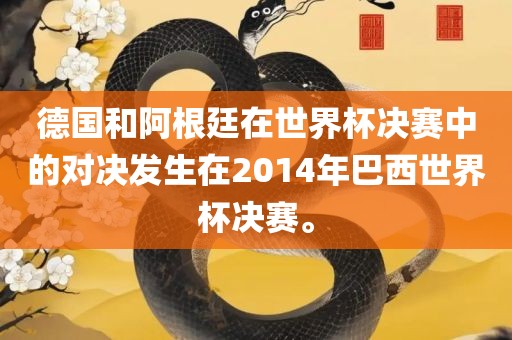 德国和阿根廷在世界杯决赛中的对决发生在2014年巴西世界杯决赛。金炬实业股份有限公司