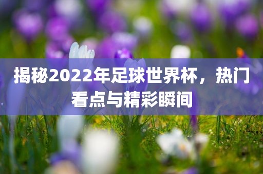 揭秘2022年足球世界杯，热门看点与精彩瞬间金炬实业股份有限公司