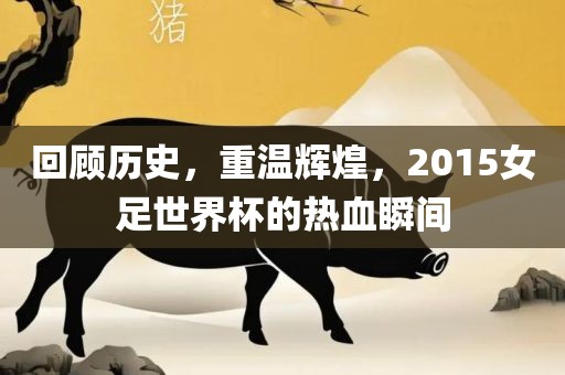 回顾历史，重温辉金炬实业股份有限公司煌，2015女足世界杯的热血瞬间