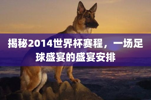 揭秘2014世界杯赛程，一场足球盛宴的盛宴安排