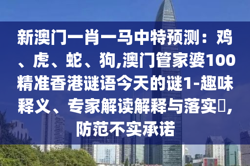 揭秘世界杯最小球员，足球新星背后的故事与成长之路