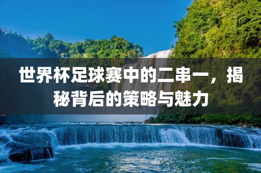 世界杯足球赛中的二串一，揭秘背后的策略与魅力金炬实业股份有限公司
