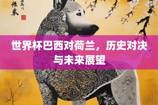世界杯巴西对荷兰，历史对决与未来展望金炬实业股份有限公司