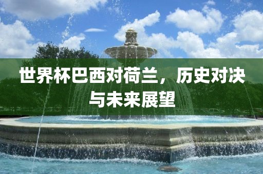 世界杯巴西对荷兰，历史对决与未来展望金炬实业股份有限公司