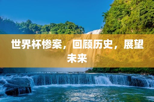 世界杯惨案，回顾历史，展望未来