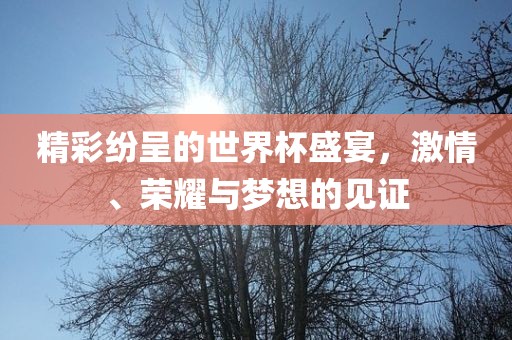 精彩纷呈的世界杯盛宴，激情、荣耀与梦想的见证金炬实业股份有限公司
