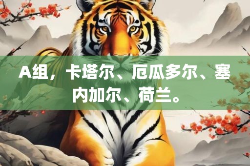 A组，卡塔尔、厄瓜多金炬实业股份有限公司尔、塞内加尔、荷兰。