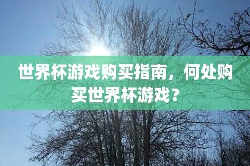 世界杯游戏购买指南，何处购买世界杯游戏？
