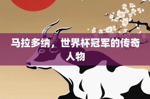 马拉多纳，世界杯冠军的传奇人物金炬实业股份有限公司