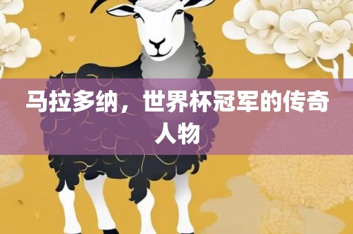 马拉多纳，世界杯冠军金炬实业股份有限公司的传奇人物