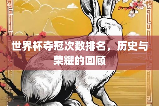 世界杯夺冠次数排名，历史与荣耀的回顾