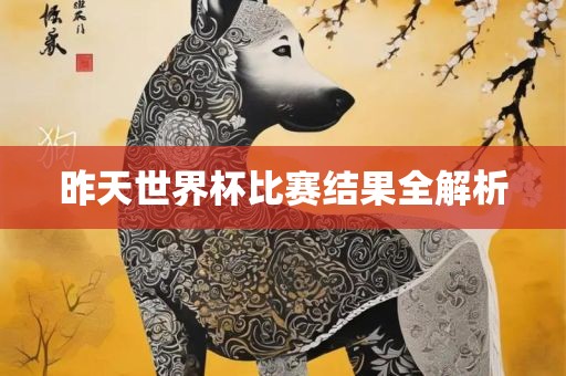 昨天世界杯比赛结果全解析