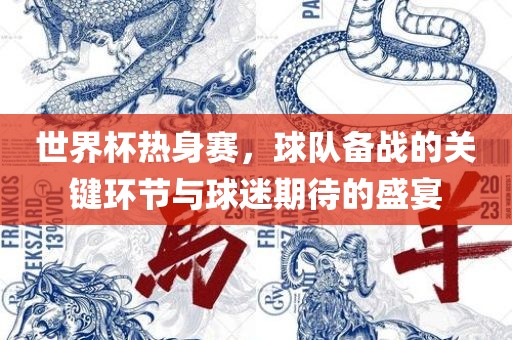 世界杯热身赛，球队备战的关键环节与球迷期金炬实业股份有限公司待的盛宴