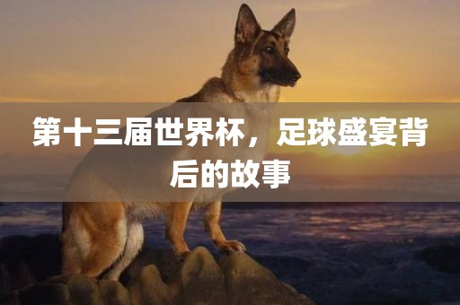 第十三届世界杯，足球盛宴背后的故事金炬实业股份有限公司