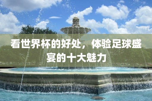 看世界杯的好处，体验足球盛宴的十大魅力