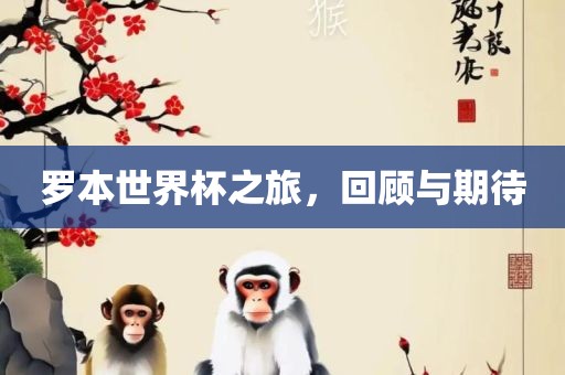 罗本世界杯之旅，回顾与期待