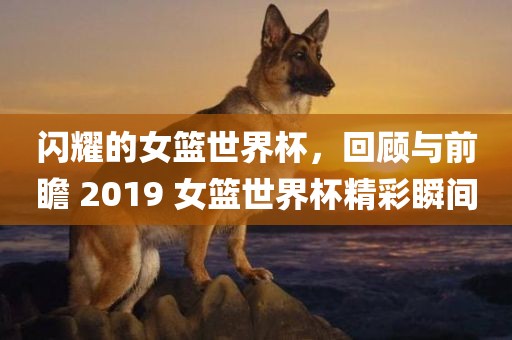 闪耀的女篮世界杯，回顾与前瞻 2019 女篮世界杯精彩瞬间