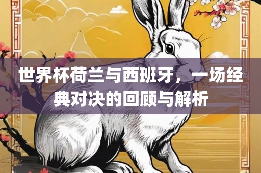 世界杯荷兰与西班牙，一场经典对决的回顾与解析