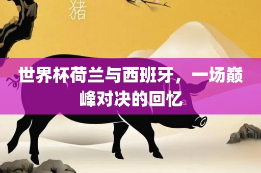 世界杯荷兰与西班牙，一场巅峰对决的回忆