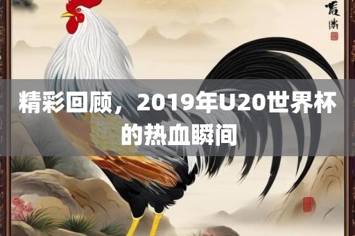 精彩回顾，2019年U20世界杯的热血瞬间