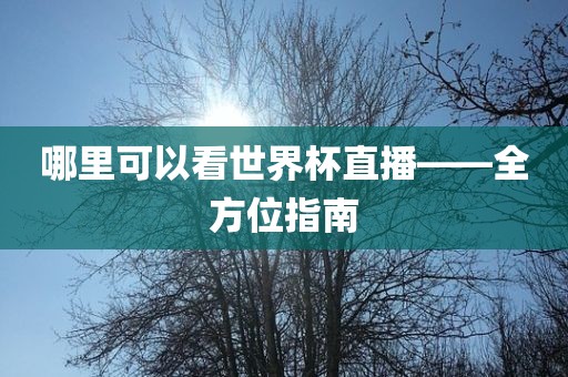 哪里可以看世界杯直播——全方位指南
