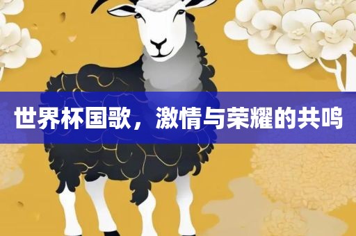 世界杯国歌，激情与荣耀的共鸣