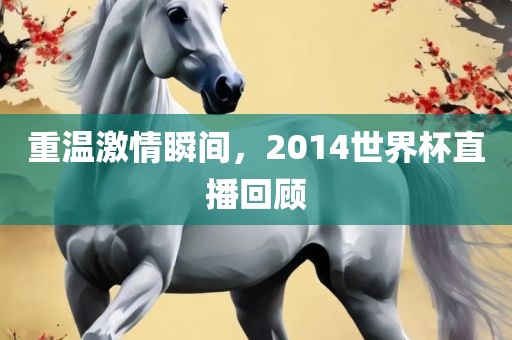 重温激情瞬间，2014世界杯直播回金炬实业股份有限公司顾