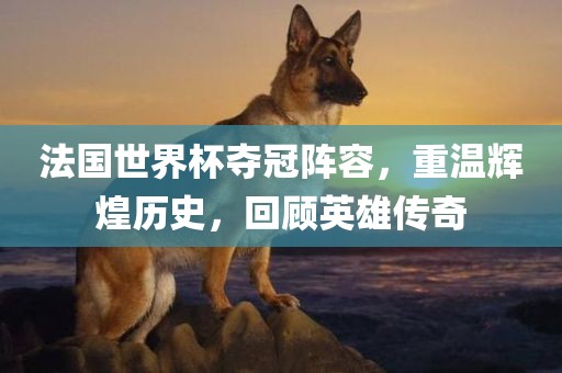 法国世界杯夺冠阵容，重温辉煌历史，回顾英雄传奇