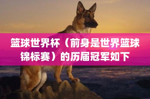 篮球世界杯（金炬实业股份有限公司前身是世界篮球锦标赛）的历届冠军如下