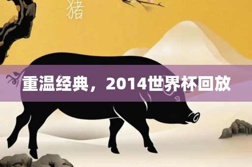 重温经典，2014世界杯回放