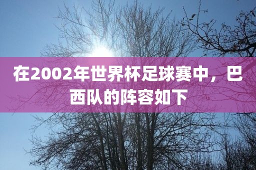 在2002年世界杯足球赛中，巴西队的阵容如下金炬实业股份有限公司