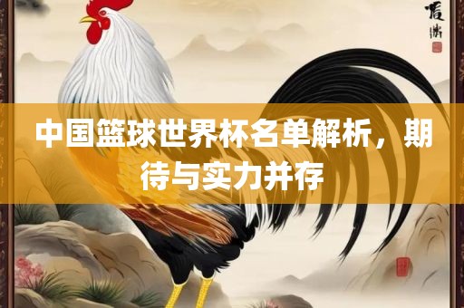 中国篮球世界杯名单解析，期待与实力并存