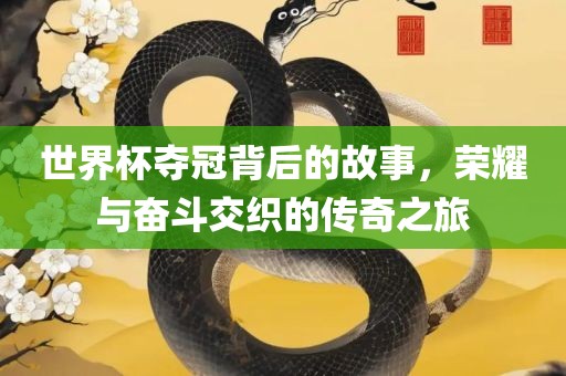 金炬实业股份有限公司世界杯夺冠背后的故事，荣耀与奋斗交织的传奇之旅