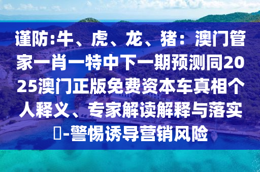 揭秘2018世界杯亚军，传奇之路与荣耀时刻
