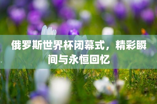 俄罗斯世界杯闭幕式，精金炬实业股份有限公司彩瞬间与永恒回忆
