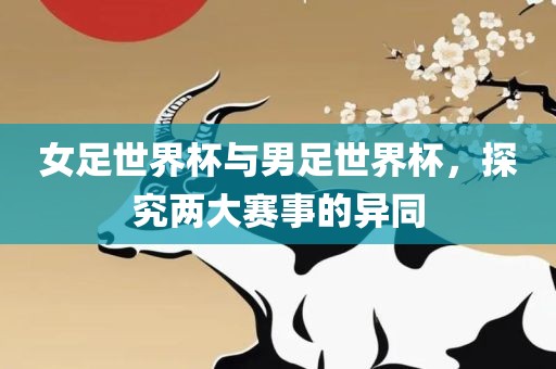 女足世界杯与男足世界杯，探究两大赛事的异同