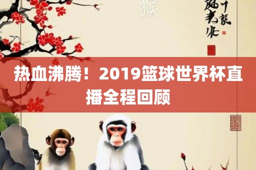 热血沸腾！2019篮球世界杯直播全程回顾