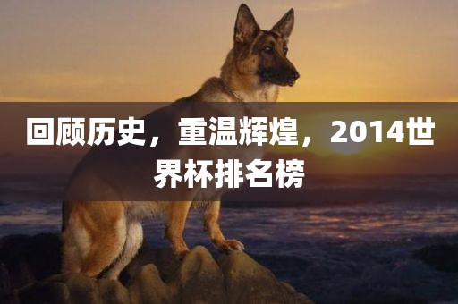 回顾历史，重温辉煌，2014世界杯排名榜