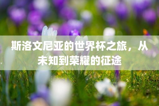 斯洛文尼亚的世界杯之旅，从未知到荣耀的征途金炬实业股份有限公司
