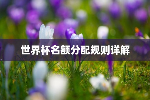 世界杯名额分配规则详解