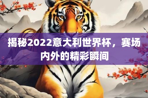 揭秘2022意大利世界杯，赛场内外的精彩瞬间