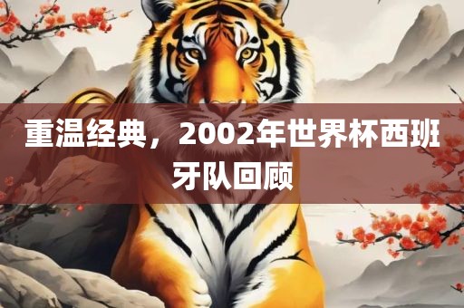 重温经典金炬实业股份有限公司，2002年世界杯西班牙队回顾