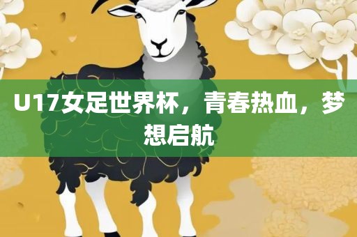 U17女足世界杯，青春热血，梦想启航