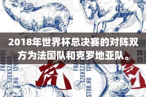 2018年世界杯总决赛的对阵双方为法国队和克罗地亚队。