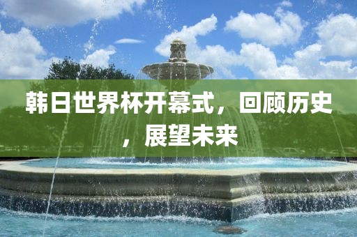 韩日世界杯开幕式，回顾历史，展望未来金炬实业股份有限公司