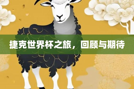 捷克世界杯之旅，回顾与期待