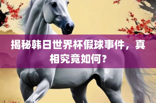 揭秘韩日世界杯假球事件，真相究竟如何？