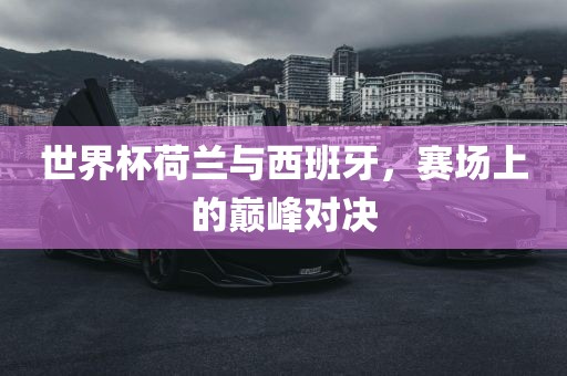 世界杯荷兰与西班牙，赛场上的巅峰对决金炬实业股份有限公司