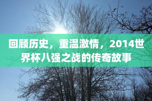 回顾历史，重温激情，2014世界杯八强之战的传奇故事
